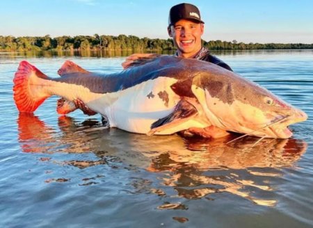 ​Goiano conquista recorde após pescar pirarara de mais de 1,4 metro