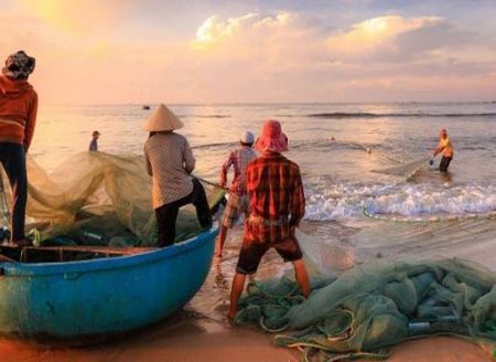 ​  SAP/MAPA anuncia encerramento da pesca de tainha de emalhe anilhado