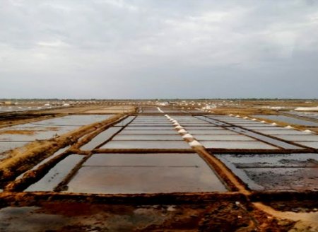 ​Aquicultura da Índia se prepara para transformação digital  