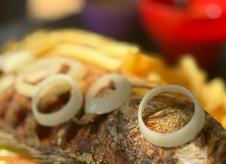 ​Hábitos de consumo de pescado no Sul do Tocantins: dados inéditos orientam potenciais investidores