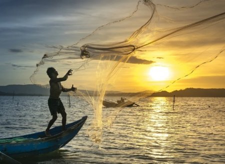 Brasil conquista dois novos mercados para pescados na Índia 