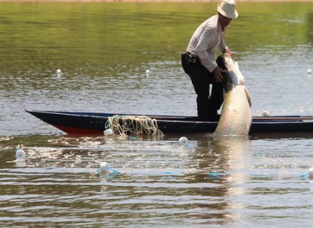 ​Governo exclui análise ambiental em cessão de águas da União para aquicultura