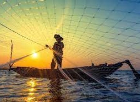 Pesca no Brasil segue “invisível”   