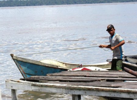 ​Estudo avalia impacto do desastre de Brumadinho na aquicultura e pesca