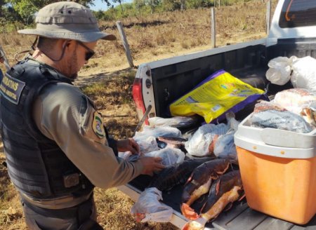 Naturatins apreende mais de 40 kg de pescado e aplica mais de R$ 2 mil em multas