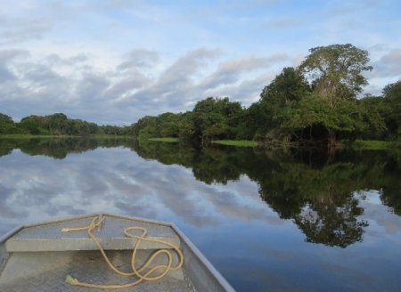 União Europeia fará doação de R$ 120 milhões ao Fundo Amazônia