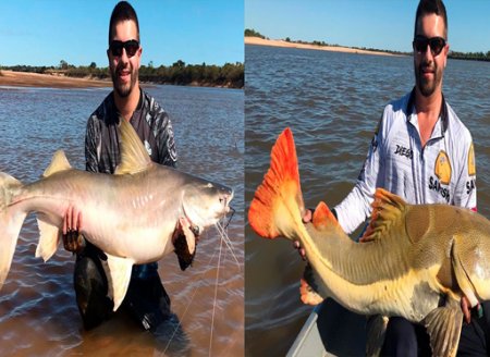 ​Retomada  do Araguaia tem gigantes na ponta da linha  