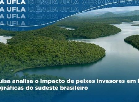 ​Pesquisa analisa o impacto de peixes invasores em bacias hidrográficas do sudeste brasileiro