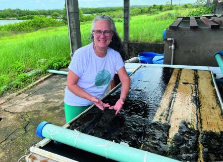 ​Mulheres avançam em posições de liderança no agro do Nordeste