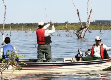 ​Período da piracema começa dia 1º de novembro no Tocantins; veja o que segue liberado