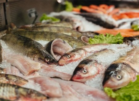 Estudo mostra perfil de consumidores brasileiros de peixes