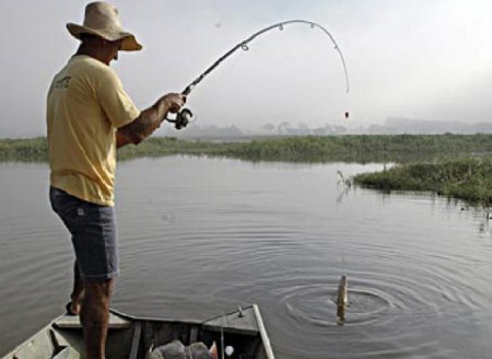 Embrapa lança publicação sobre análises microbiológicas