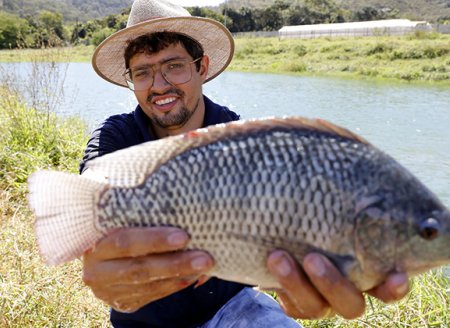    Agro do Quadrado: Criação de pescados bate recorde com formalização de produtores rurais