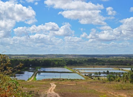 Embrapa vai testar tecnologia inovadora para mapear aquicultura no Brasil