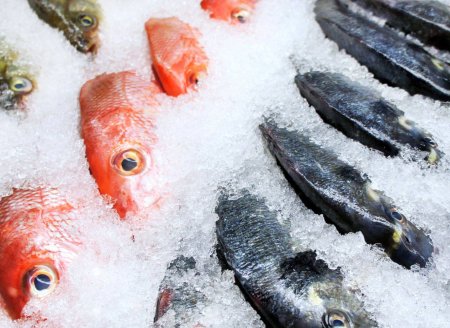 ​A importância das análises laboratoriais na indústria de pescado