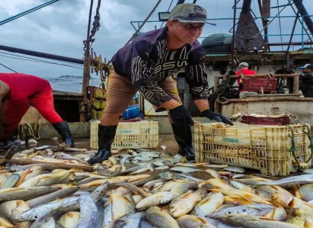 ​Pescadores têm até 30 de setembro para se inscrever para subsídio na compra de diesel