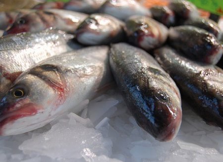 Consumidor paulista pagou mais barato na compra de pescado em setembro Publicada em 26 de outubro de 2020