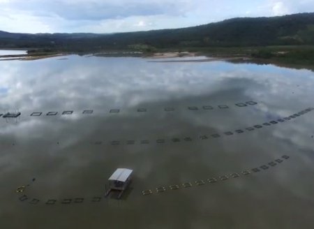 Potencial de piscicultura da região do Oeste Goiano inspira senador em apoio para este importante segmento