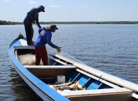 ​Pesquisa comprova riqueza de conhecimento dos pescadores sobre cadeia alimentar de peixes na Amazônia brasileira