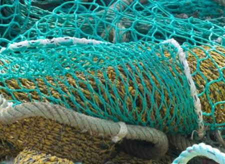 Sete terminais pesqueiros públicos podem ser leiloados ainda em 2021