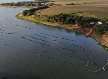 Cooperação entre MME e Ministério da Pesca fomentará aquicultura em reservatórios de hidrelétricas