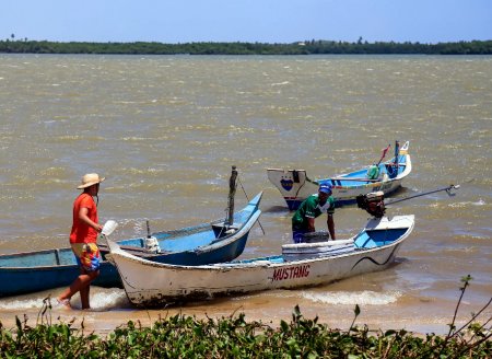 ​Brasil tem apenas 50% das pescarias com situação conhecida