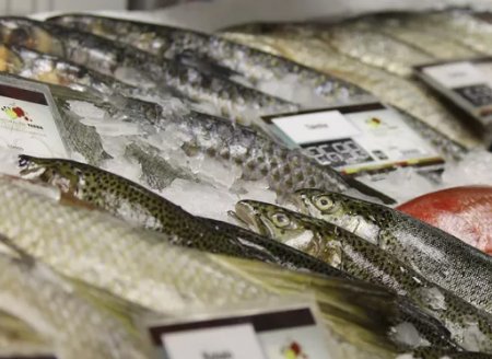 ​Pesquisa mapeia consumidor de peixe no Brasil e aponta preferência por tilápia e filés  