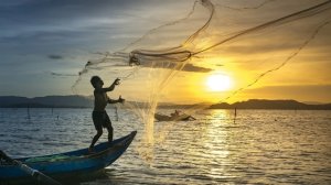 Brasil conquista dois novos mercados para pescados na Índia 