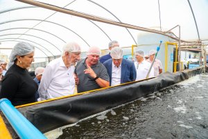 Com criação de tilápia em lago de hidrelétrica, Alpha Fish alavanca piscicultura do Paraná