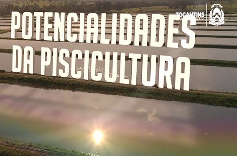 Potencialidades da Cadeia da Piscicultura no Tocantins - Vídeo Institucional do Governo do Estado do Tocantins 