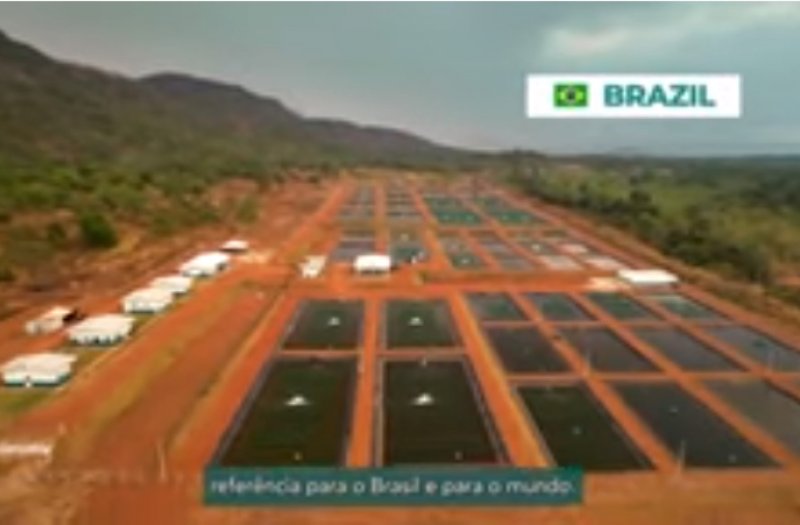 GenoMar Breeding and Genetics Centre in Brazil officially opened